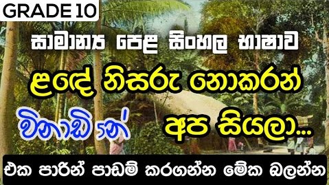 GCE O/L  lande nisaru nokaran apa siyala | Grade 10 Sinhala 15th Lesson