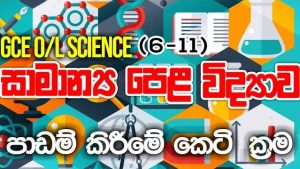 GCE O/L Science Tricks |  Grade 10/11 PDF