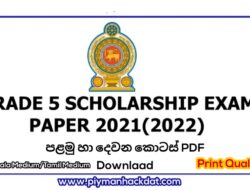 Grade 5 Scholarship Exam 2021(2022) Paper PDF Download