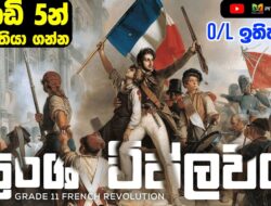 GCE O/L History | French Revolution Grade 11 PDF