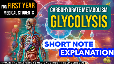 Download Short Notes on Carbohydrate Metabolism | Free PDF!